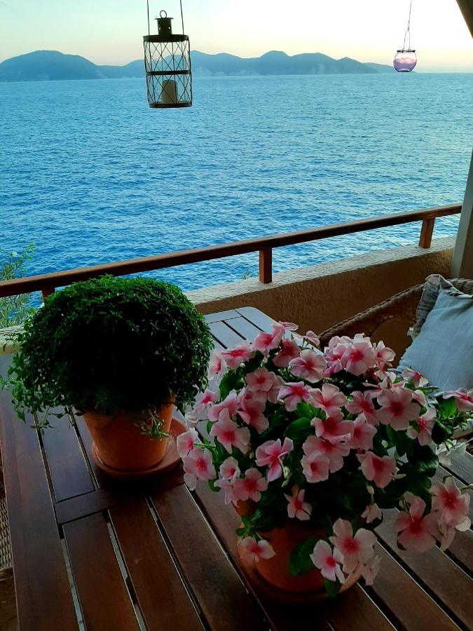 Cavos Inn Apartments Kefalonia Асос Экстерьер фото